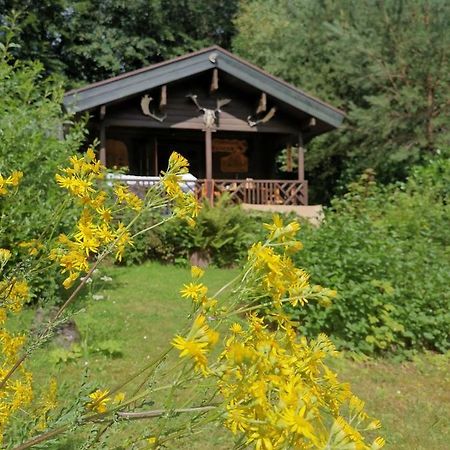 Blockhaus Am Twistesee Mit 3 Schlafzimmern 巴特阿罗尔森 外观 照片