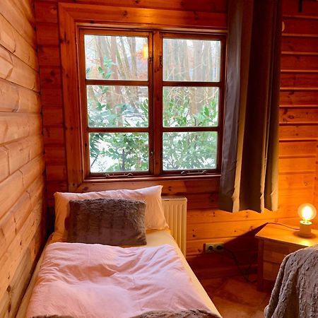 Blockhaus Am Twistesee Mit 3 Schlafzimmern 巴特阿罗尔森 外观 照片