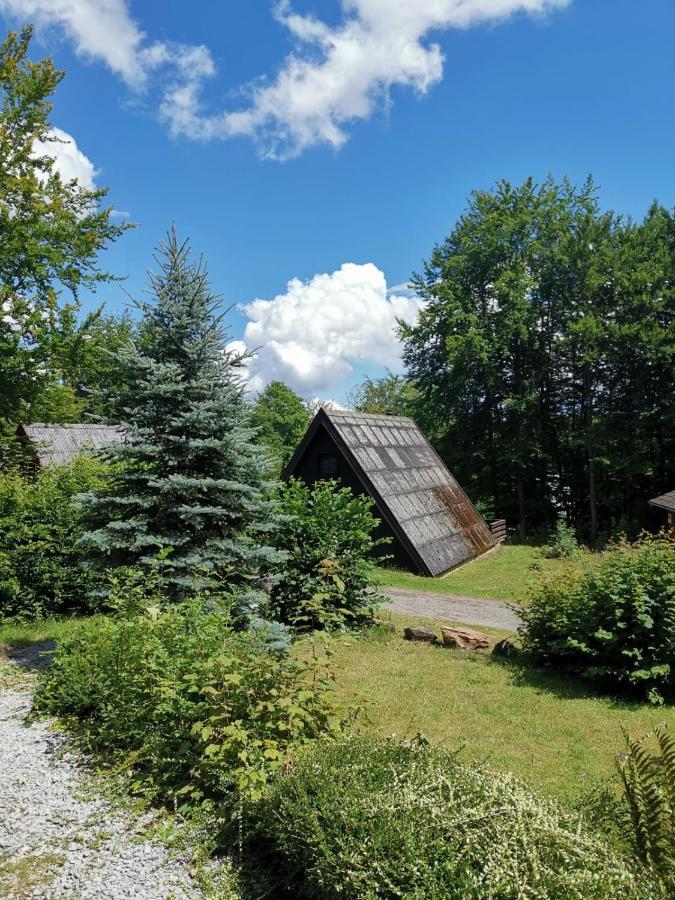 Blockhaus Am Twistesee Mit 3 Schlafzimmern 巴特阿罗尔森 外观 照片