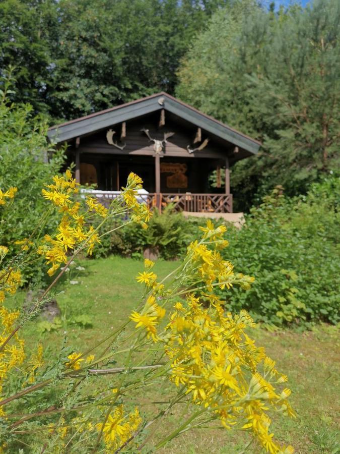 Blockhaus Am Twistesee Mit 3 Schlafzimmern 巴特阿罗尔森 外观 照片