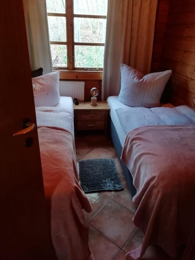 Blockhaus Am Twistesee Mit 3 Schlafzimmern 巴特阿罗尔森 外观 照片
