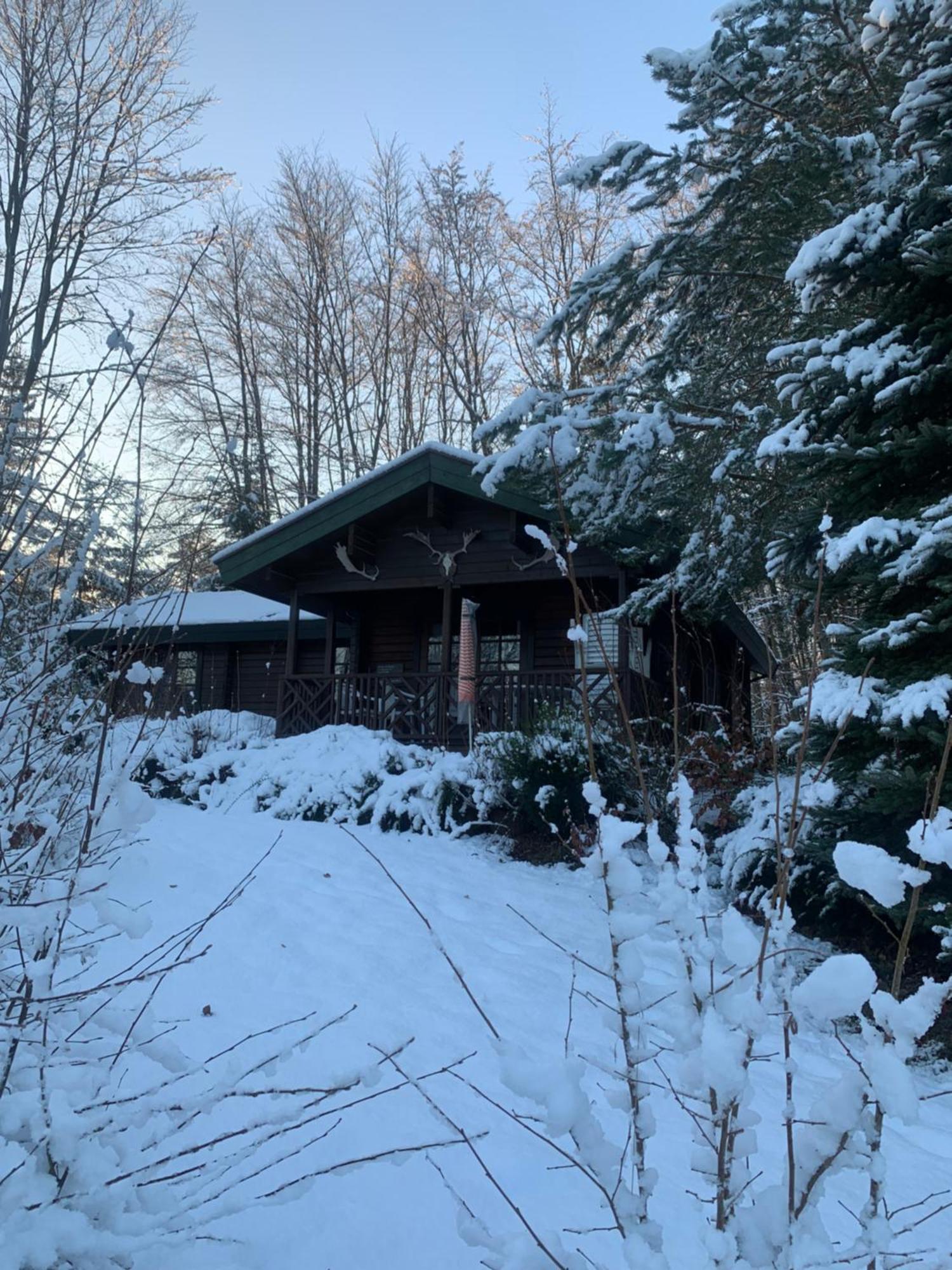 Blockhaus Am Twistesee Mit 3 Schlafzimmern 巴特阿罗尔森 外观 照片