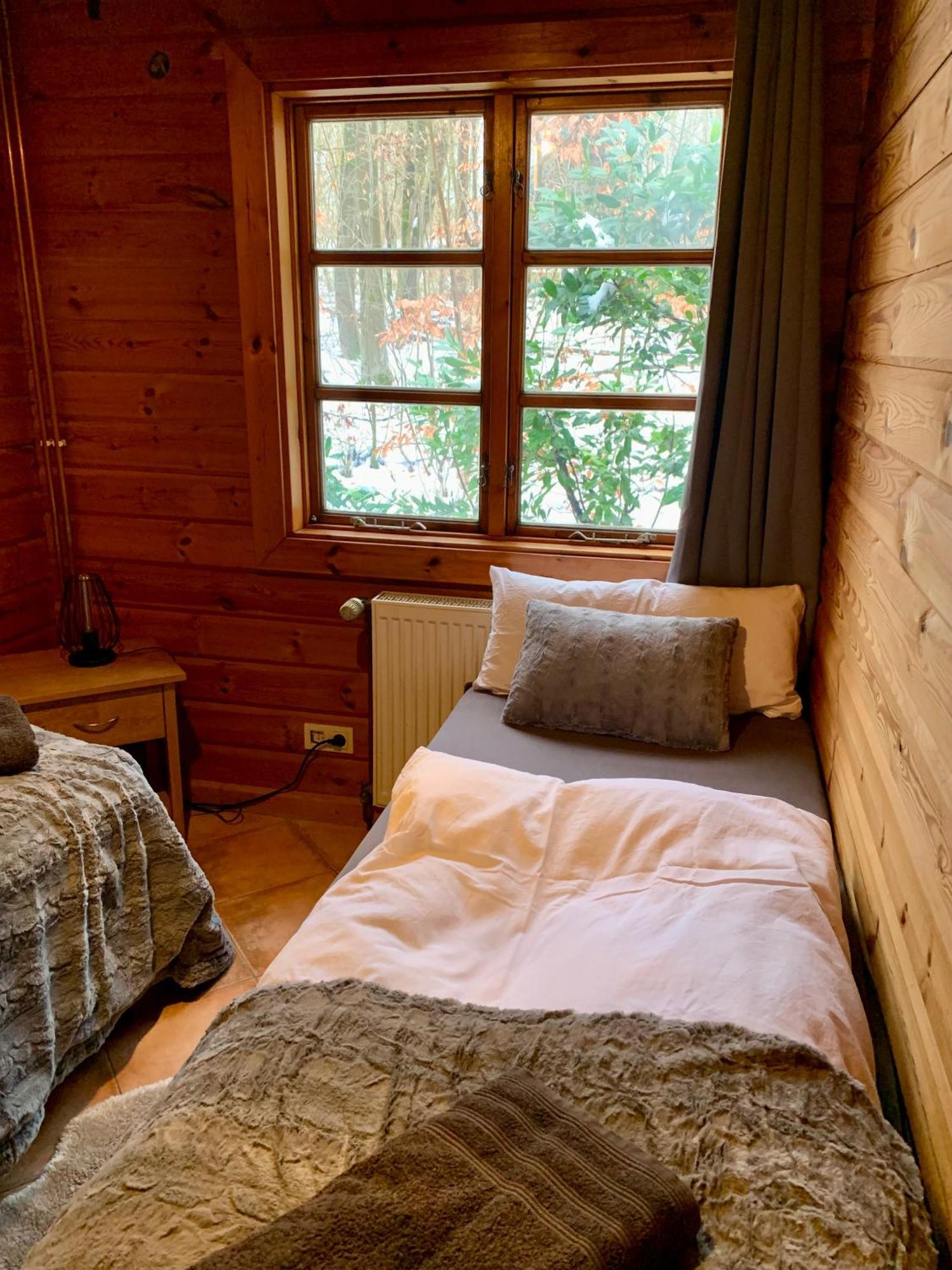 Blockhaus Am Twistesee Mit 3 Schlafzimmern 巴特阿罗尔森 外观 照片