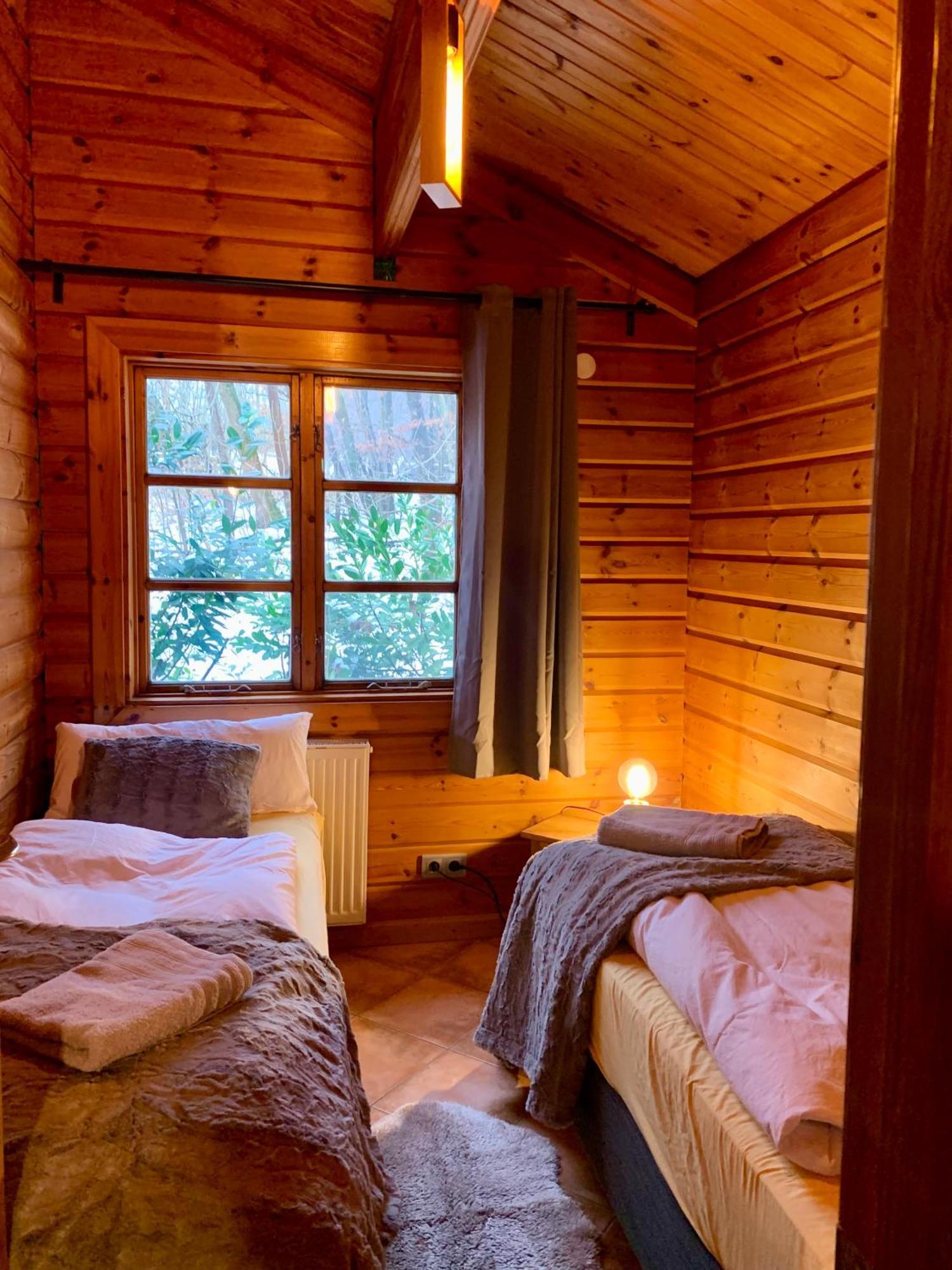 Blockhaus Am Twistesee Mit 3 Schlafzimmern 巴特阿罗尔森 外观 照片